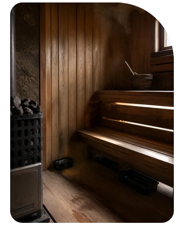 Дератизация бани под ключ в Истре по цене от 3556 р. | Сенат-Ста